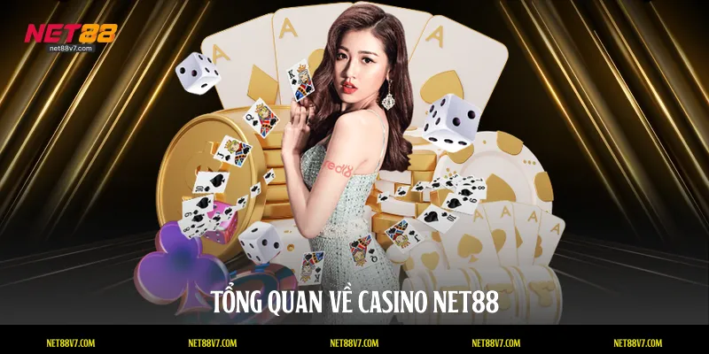 Tổng quan về casino NET88